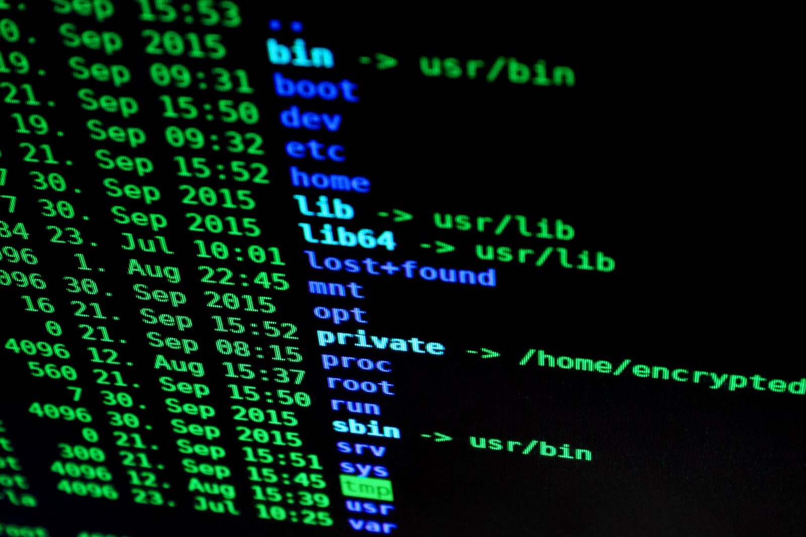 A terminal listing the root of a Linux filesystem — bin, boot, dev, etc, home, lib, proc, sbin, var — in green and blue on black